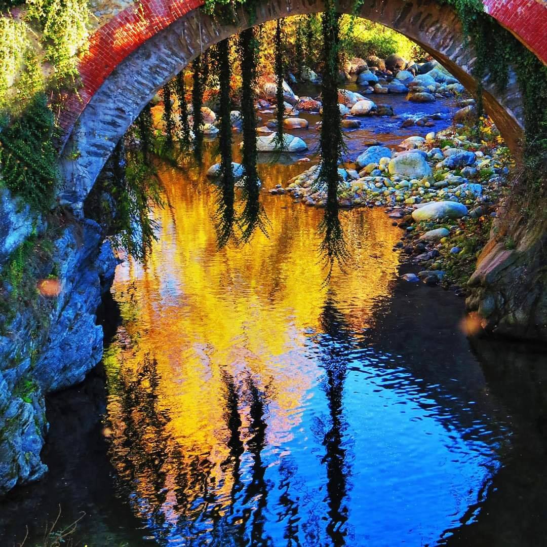 Tavolozza di colori in Val Sangone - Demaio Luciano